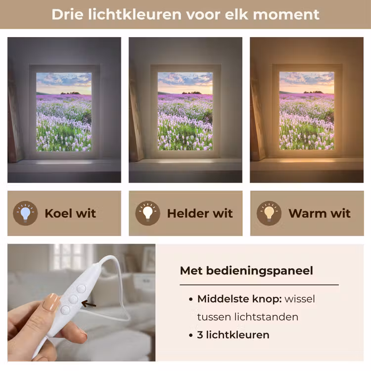 Lavendel - Bloemen - Zonsondergang - Paars - Weide Light Box met kabel (Tafellamp) klein -USP_lichtkleurNL