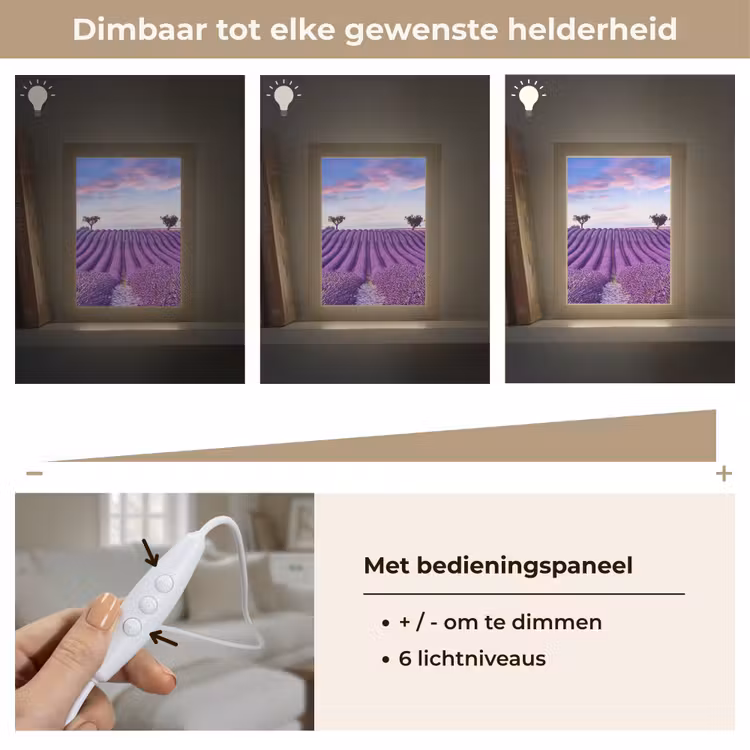 Lavendel - Natuur - Paars - Bomen - Bloemen Light Box met kabel (Tafellamp) klein -USP_dimbaarNL