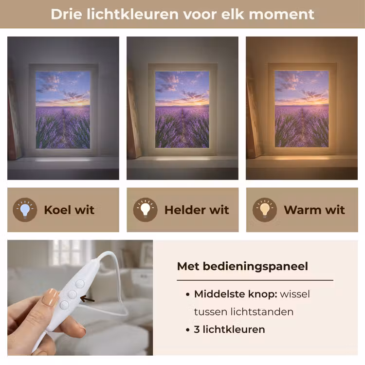 Lavendel - Veld - Natuur - Paars Light Box met kabel (Tafellamp) klein -USP_lichtkleurNL