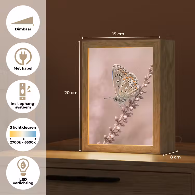 Lavendel - Vlinder - Paars Light Box met kabel (Tafellamp) klein -USP_NL