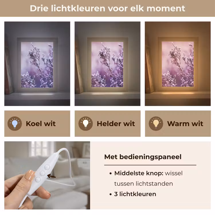 Lavendel - Winter - Bloemen - Paars Light Box met kabel (Tafellamp) klein -USP_lichtkleurNL