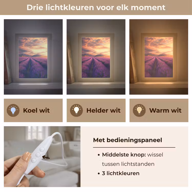 Lavendelveld - Zonsondergang - Paars Light Box met kabel (Tafellamp) klein -USP_lichtkleurNL