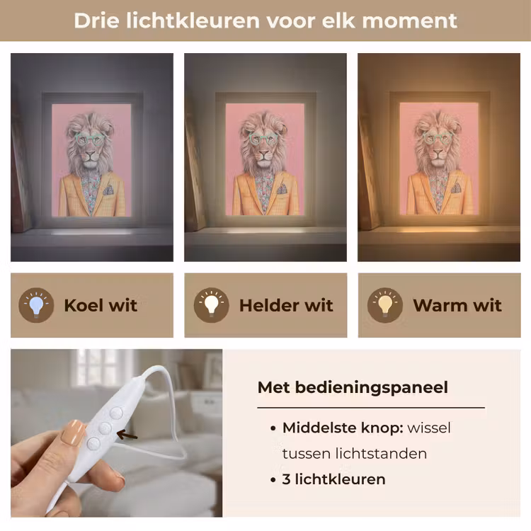 Leeuw - Pak - Geruit - Bril Light Box met kabel (Tafellamp) klein -USP_lichtkleurNL
