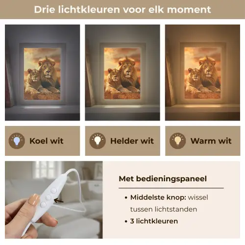 Leeuwen - Zonsondergang - Afrika - Savanne - Dieren Light Box met kabel (Tafellamp) klein -USP_lichtkleurNL