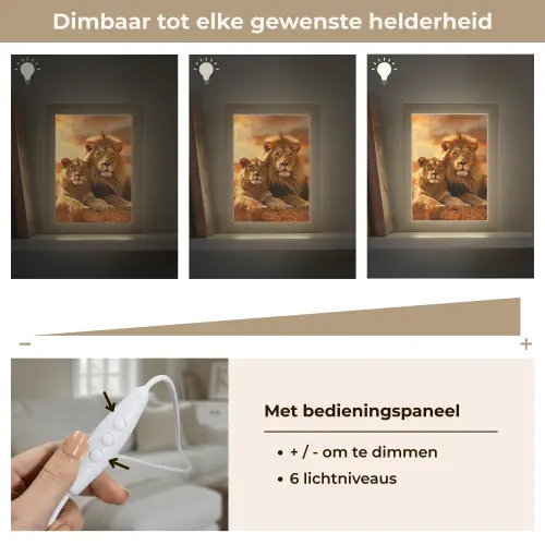 Leeuwen - Zonsondergang - Afrika - Savanne - Dieren Light Box met kabel (Tafellamp) klein -USP_dimbaarNL