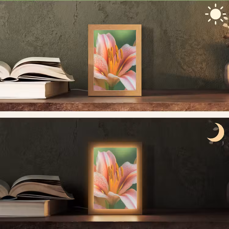 Lelie - Close up - Lichtroze Light Box met kabel (Tafellamp) klein -sfeer3