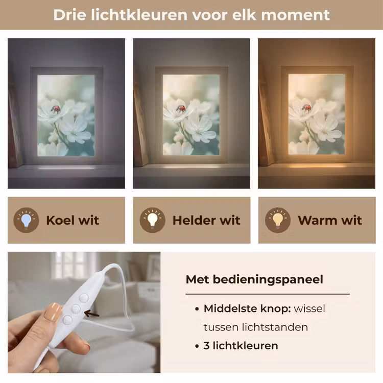 Lieveheersbeestje - Bloemen - Wit Light Box met kabel (Tafellamp) klein -USP_lichtkleurNL