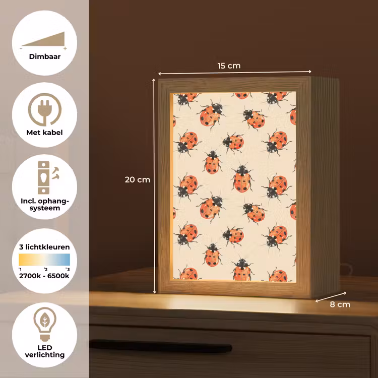 Lieveheersbeestjes - Patroon - Rood Light Box met kabel (Tafellamp) klein 925 -USP_NL