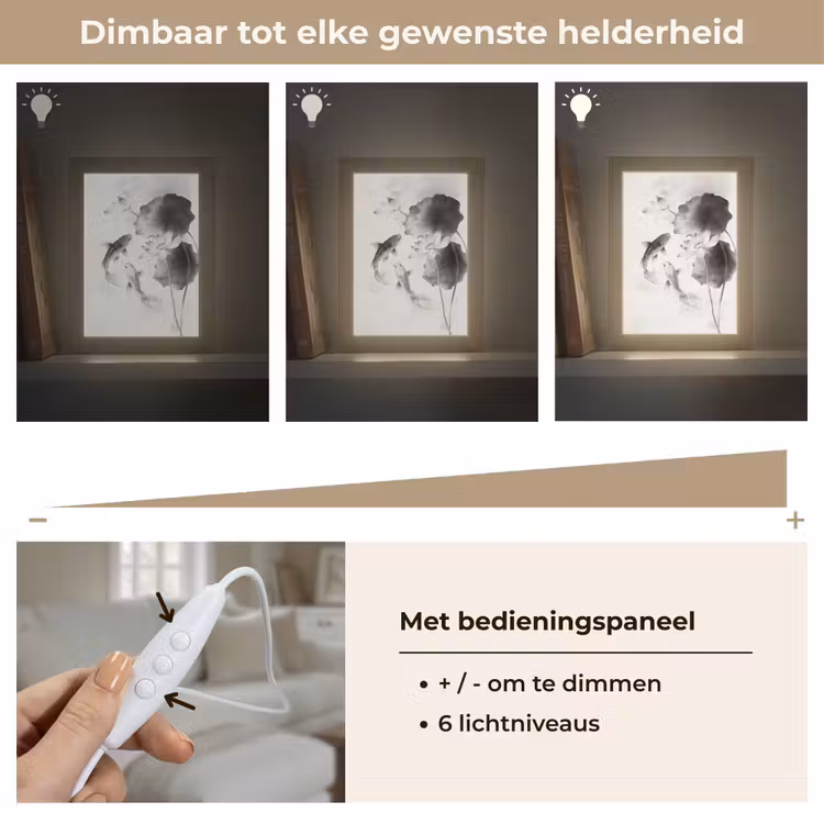 Lotusbloemen - Vissen - Bladeren - Zwart Light Box met kabel (Tafellamp) klein -USP_dimbaarNL