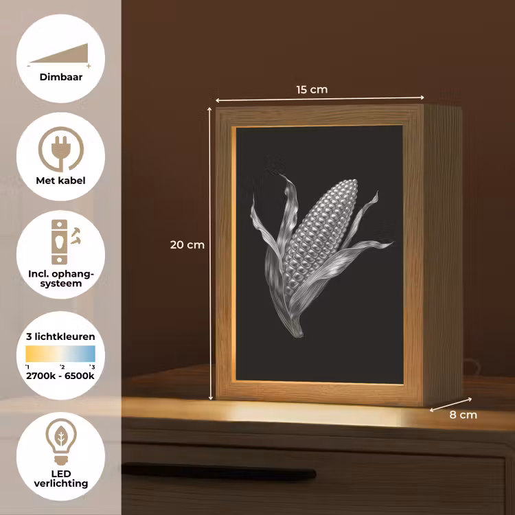 Maïskolf - Glanzend metaal - Elegant Light Box met kabel (Tafellamp) klein -USP_NL