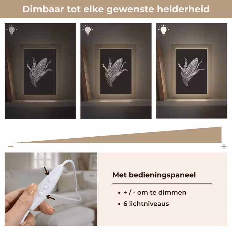 Maïskolf - Glanzend metaal - Elegant Light Box met kabel (Tafellamp) klein -USP_dimbaarNL