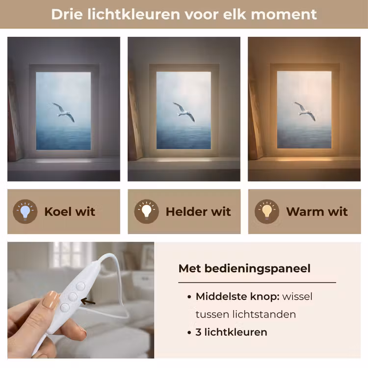 Meeuw - Wit - Zee - Mistig Light Box met kabel (Tafellamp) klein -USP_lichtkleurNL