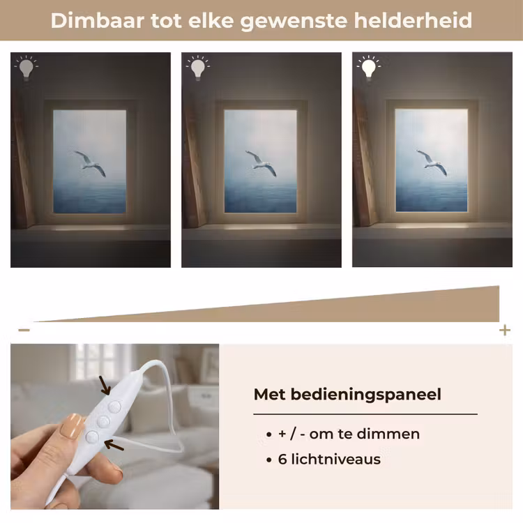 Meeuw - Wit - Zee - Mistig Light Box met kabel (Tafellamp) klein -USP_dimbaarNL