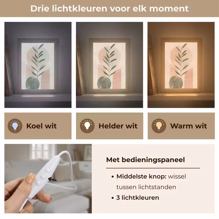 Modern - Roze - Groen - Natuur - Aesthetic Light Box met kabel (Tafellamp) klein -USP_lichtkleurNL