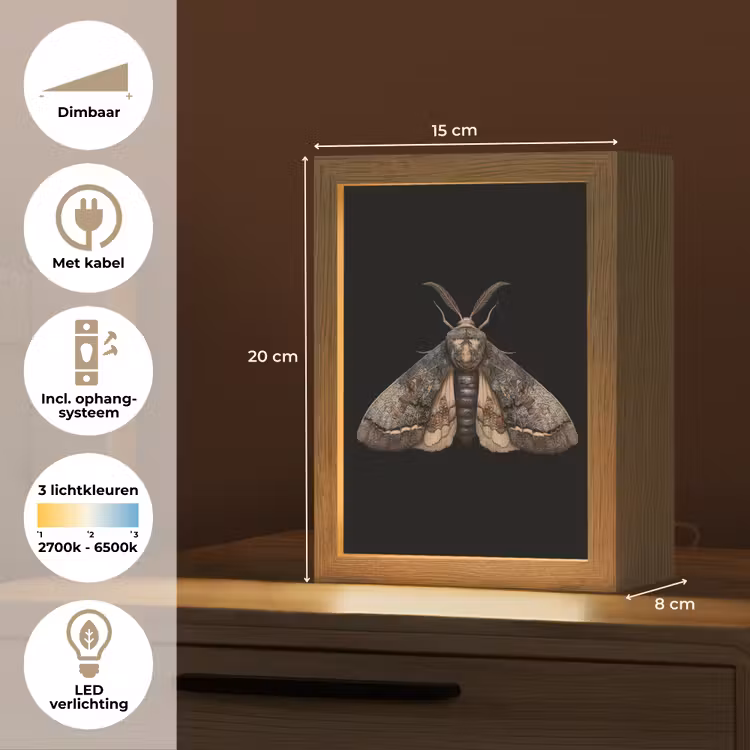 Mot - Bladachtig - Grijs Light Box met kabel (Tafellamp) klein -USP_NL