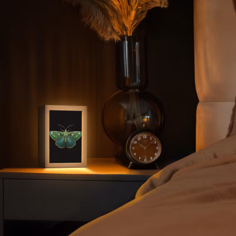 Mot - Levendig - Groen Light Box met kabel (Tafellamp) klein -sfeer1