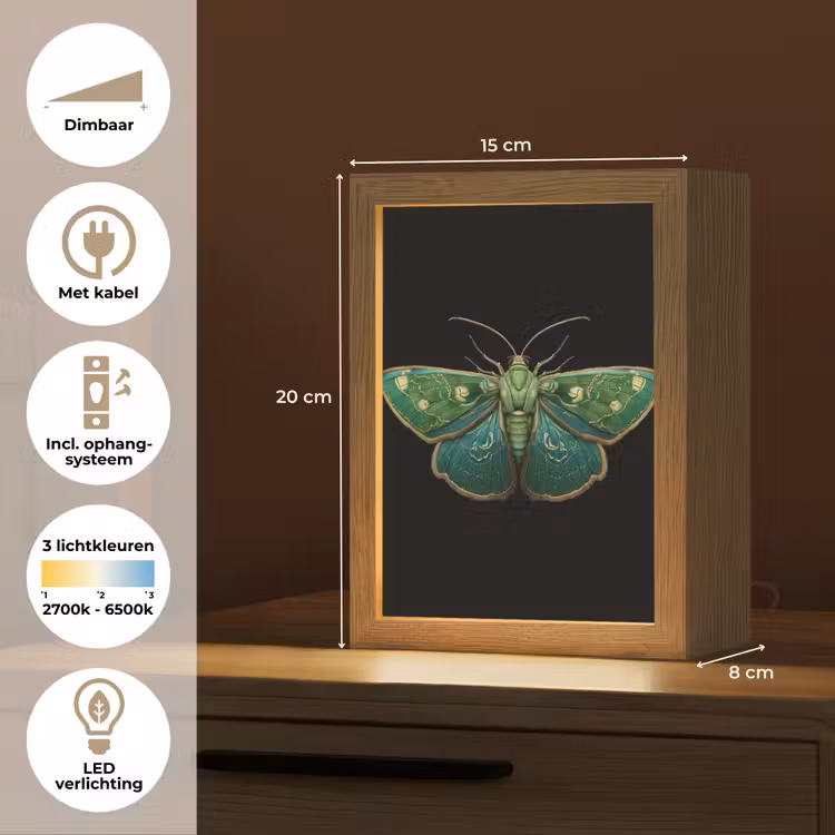 Mot - Levendig - Groen Light Box met kabel (Tafellamp) klein -USP_NL