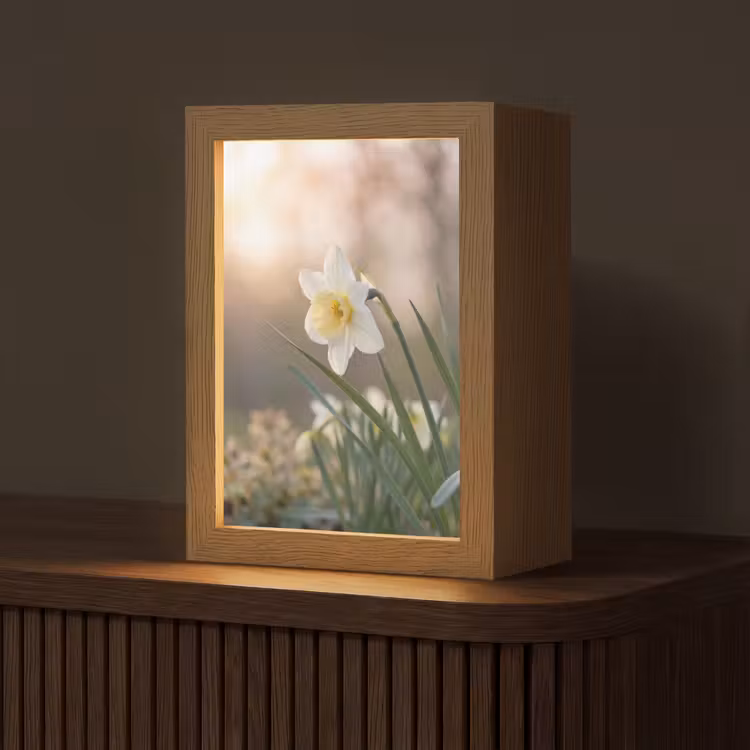 Narcis - Bloem - Minimalistisch Light Box met kabel (Tafellamp) klein -z3d_website