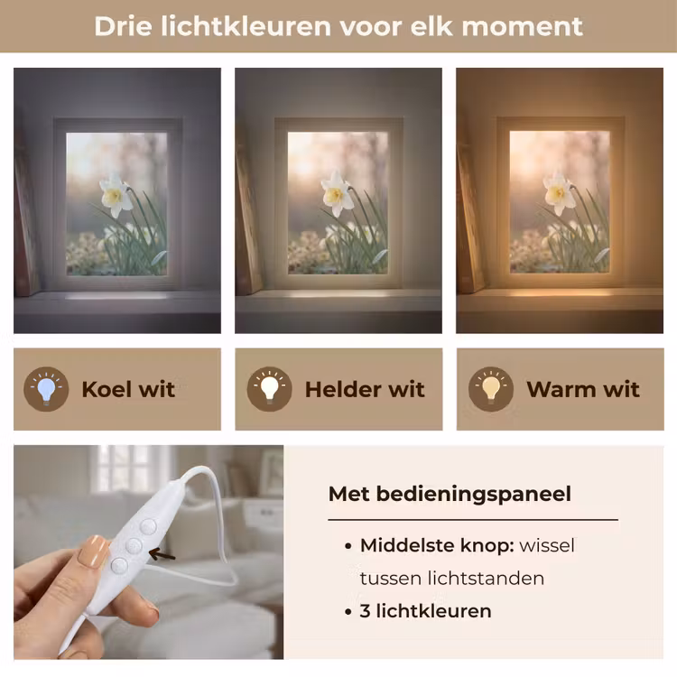 Narcis - Bloem - Minimalistisch Light Box met kabel (Tafellamp) klein -USP_lichtkleurNL