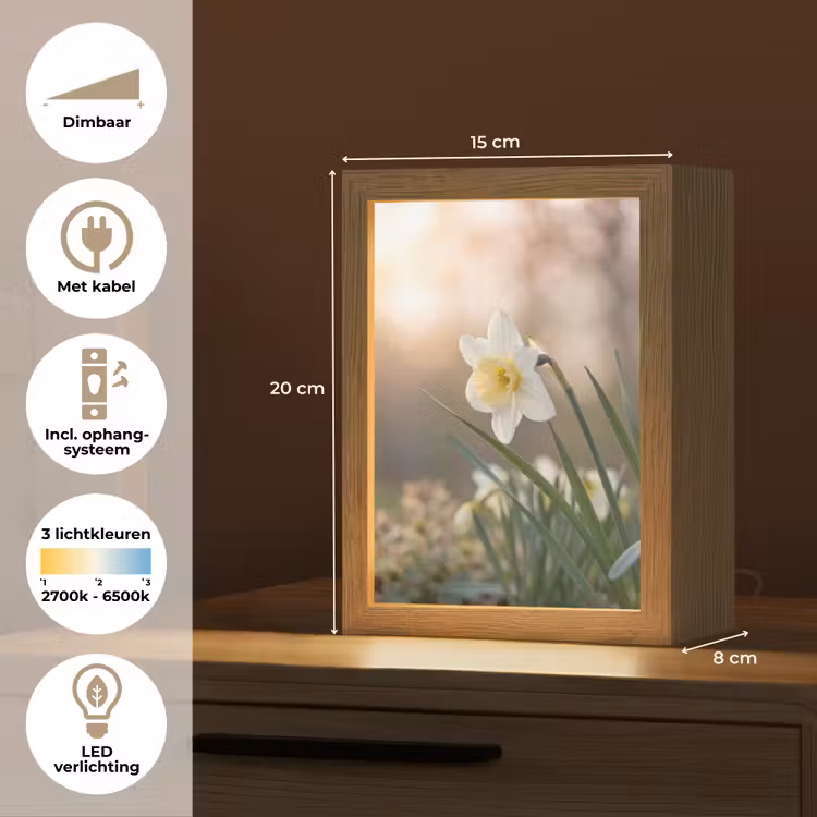 Narcis - Bloem - Minimalistisch Light Box met kabel (Tafellamp) klein -USP_NL