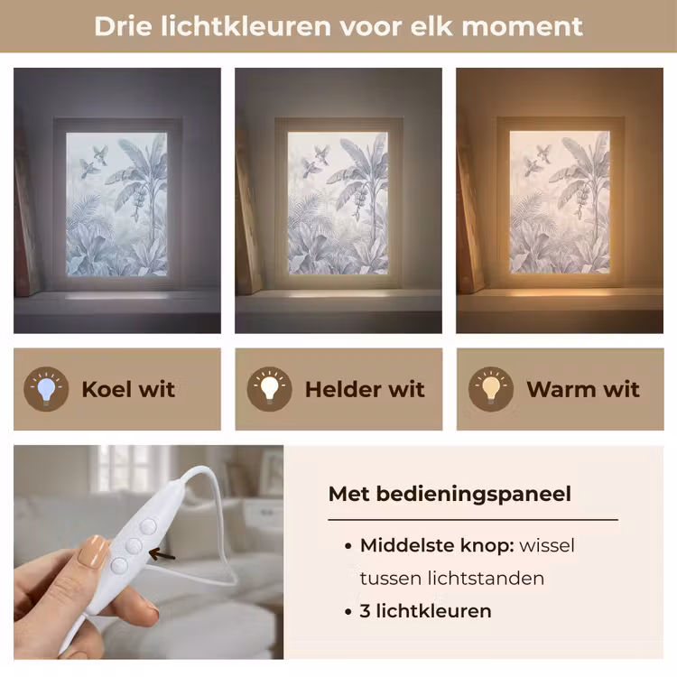Natuur - Vogel - Jungle - Illustratie - Blauw Light Box met kabel (Tafellamp) klein -USP_lichtkleurNL