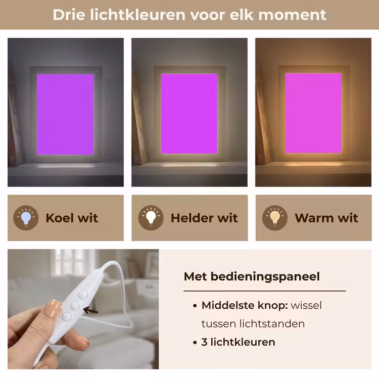 Neon - Orchid - Paars Light Box met kabel (Tafellamp) klein 925 -USP_lichtkleurNL