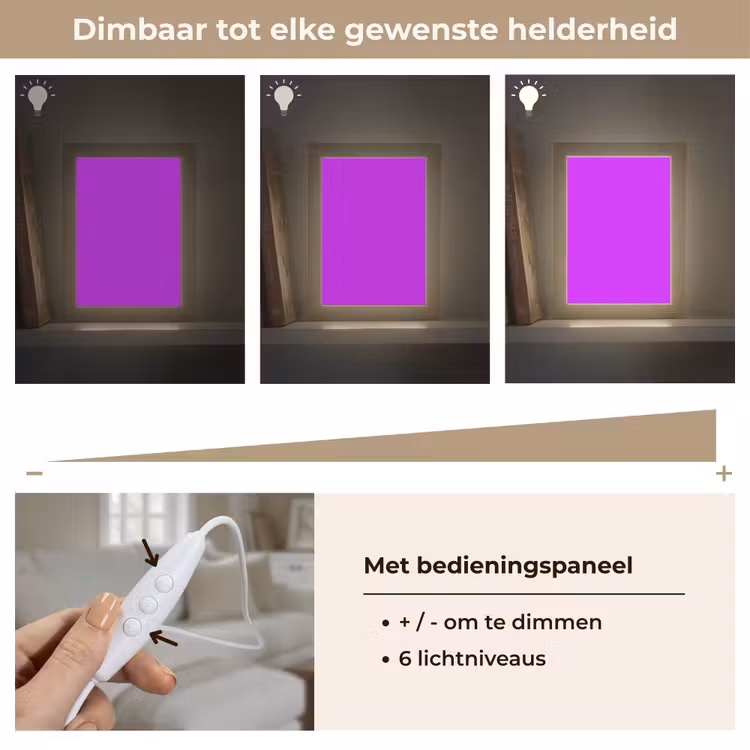 Neon - Orchid - Paars Light Box met kabel (Tafellamp) klein 925 -USP_dimbaarNL