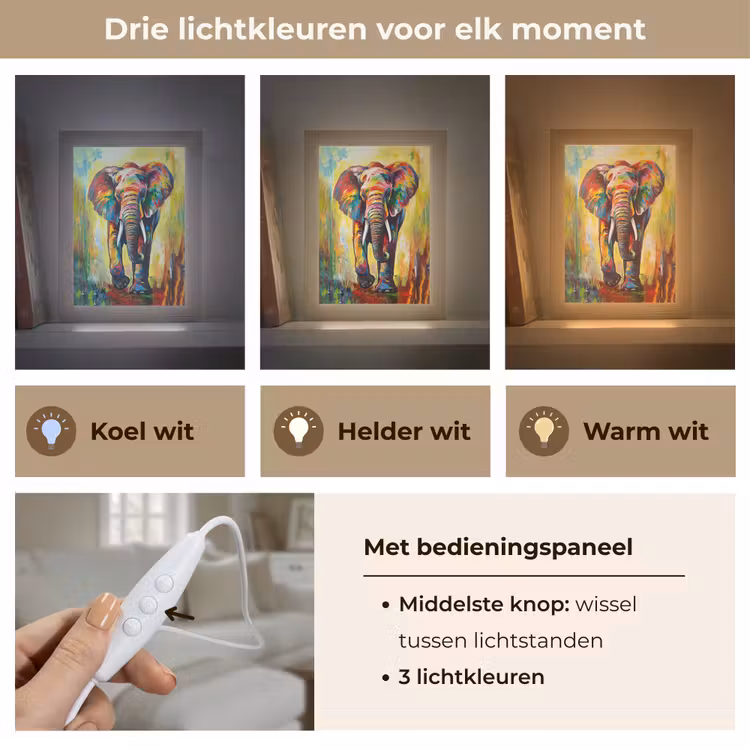 Olifant - Kunst - Schilderij - Dieren - Regenboog Light Box met kabel (Tafellamp) klein -USP_lichtkleurNL