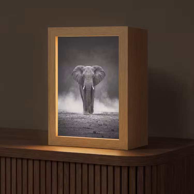 Olifant - Zwart - Wit - Rook Light Box met kabel (Tafellamp) klein -z3d_website