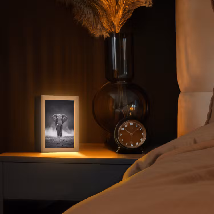 Olifant - Zwart - Wit - Rook Light Box met kabel (Tafellamp) klein -sfeer1