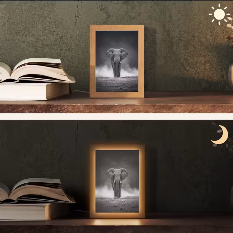 Olifant - Zwart - Wit - Rook Light Box met kabel (Tafellamp) klein -sfeer3