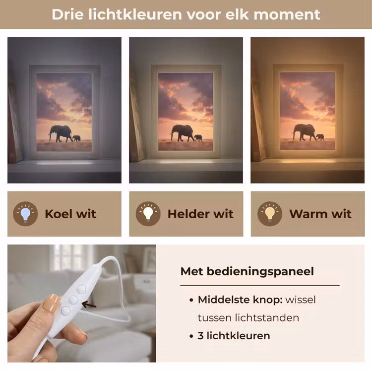 Olifanten - Grasland - Zonsondergang Light Box met kabel (Tafellamp) klein -USP_lichtkleurNL