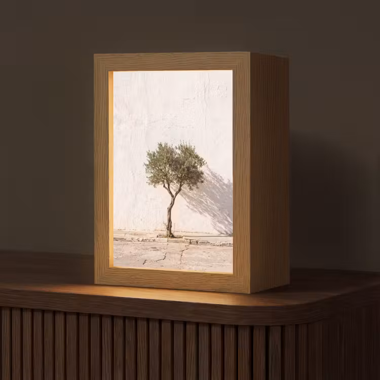 Tafellamp - Olijfboom - muur - wit - Olijfboom - muur - wit Light Box met kabel (Tafellamp) klein