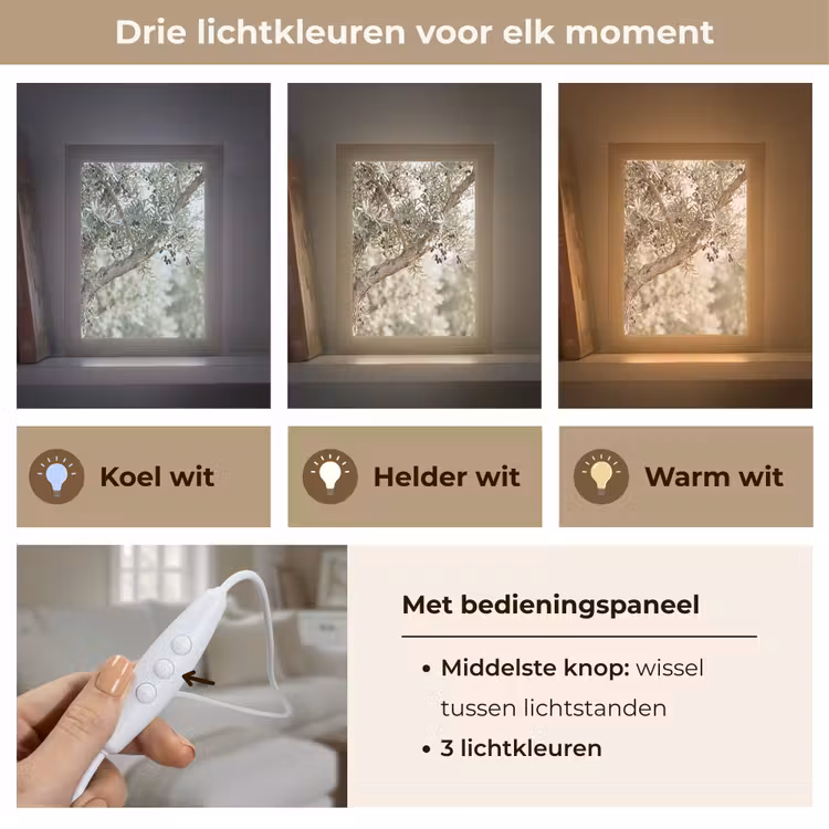 Tafellamp - Olijfboom - tak - groen - Olijfboom - tak - groen Light Box met kabel (Tafellamp) klein