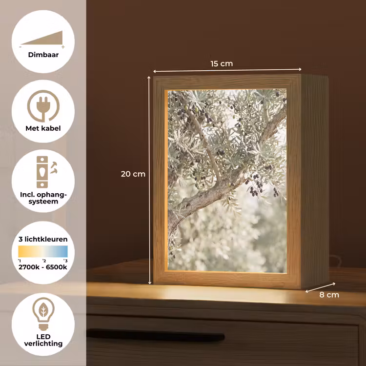 Tafellamp - Olijfboom - tak - groen - Olijfboom - tak - groen Light Box met kabel (Tafellamp) klein