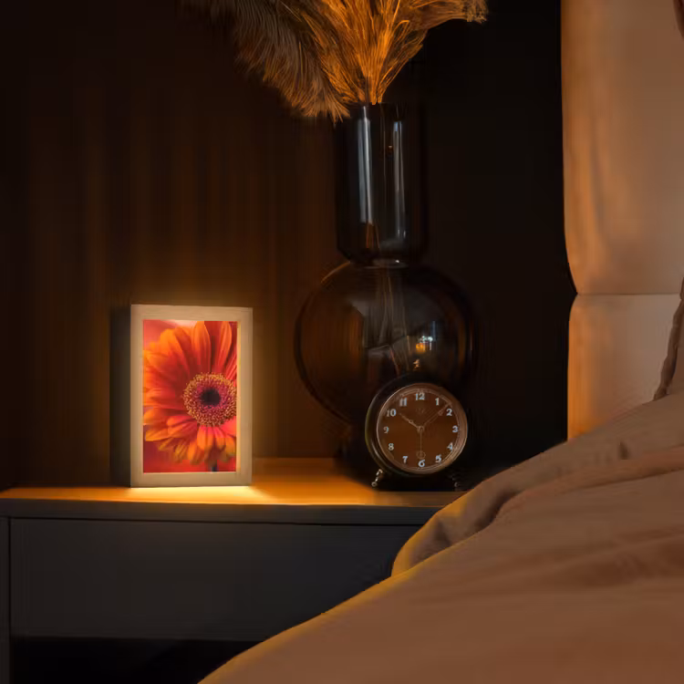 Oranje - Gerbera - Intens Light Box met kabel (Tafellamp) klein -sfeer1