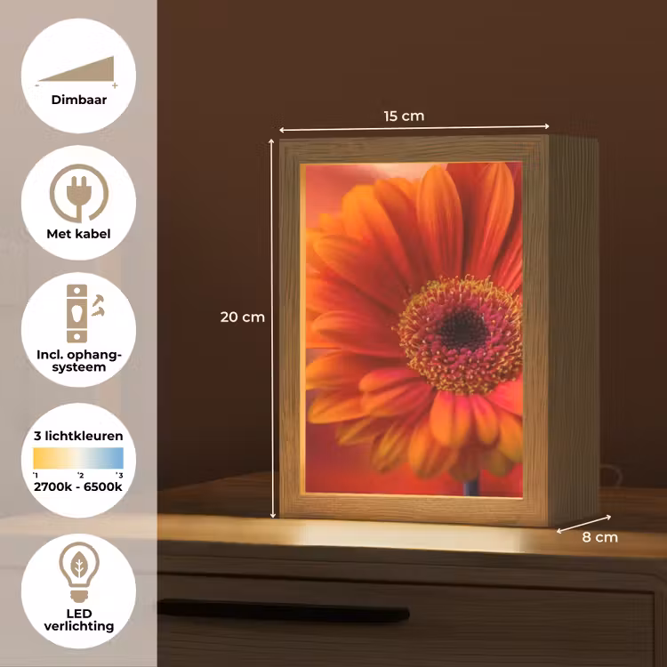 Oranje - Gerbera - Intens Light Box met kabel (Tafellamp) klein -USP_NL