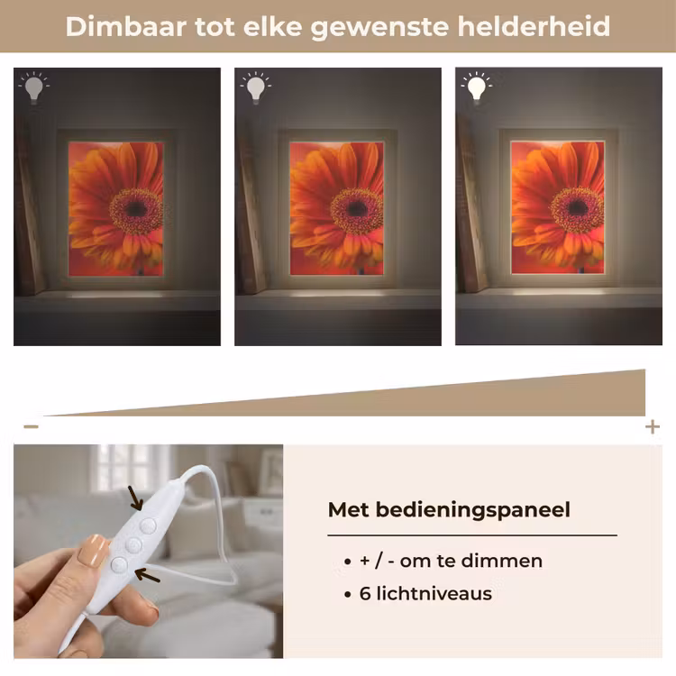 Oranje - Gerbera - Intens Light Box met kabel (Tafellamp) klein -USP_dimbaarNL