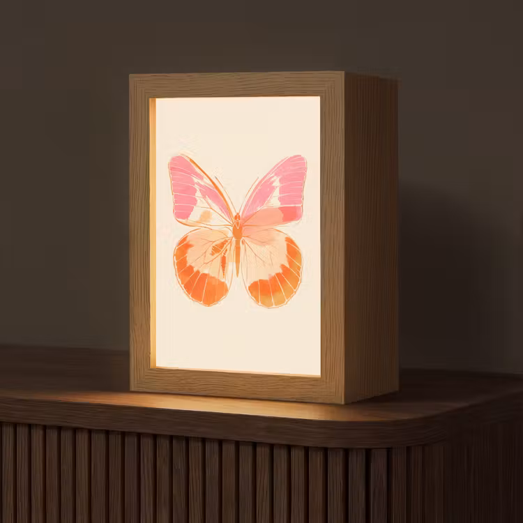 Oranje - Vlinder - Minimalistisch Light Box met kabel (Tafellamp) klein -z3d_website