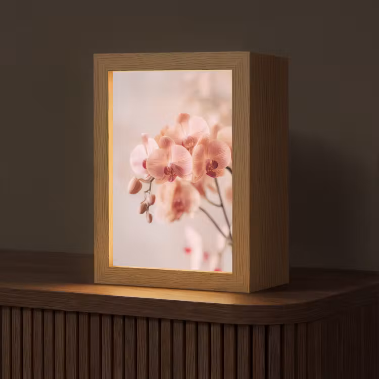 Orchidee - Bloemen - Roze - Bloemblaadjes Light Box met kabel (Tafellamp) klein -z3d_website