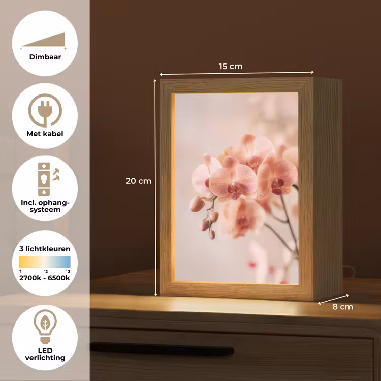 Orchidee - Bloemen - Roze - Bloemblaadjes Light Box met kabel (Tafellamp) klein -USP_NL