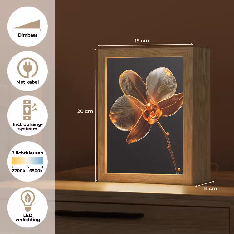 Orchidee - Doorzichtig - Bloem Light Box met kabel (Tafellamp) klein -USP_NL