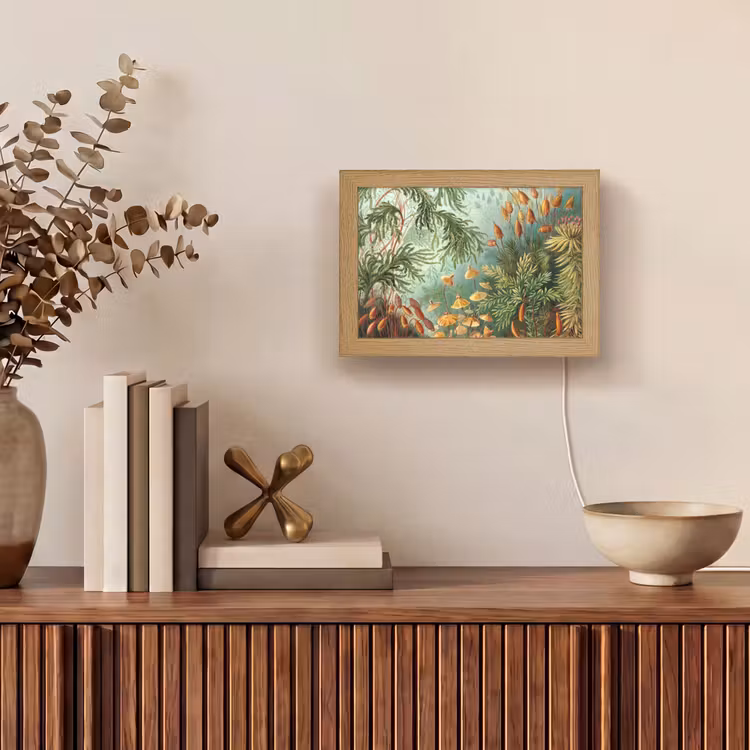 Oude meesters - Kunst - Muscinae - Haeckel Light Box met kabel (Tafellamp) klein -sfeer2