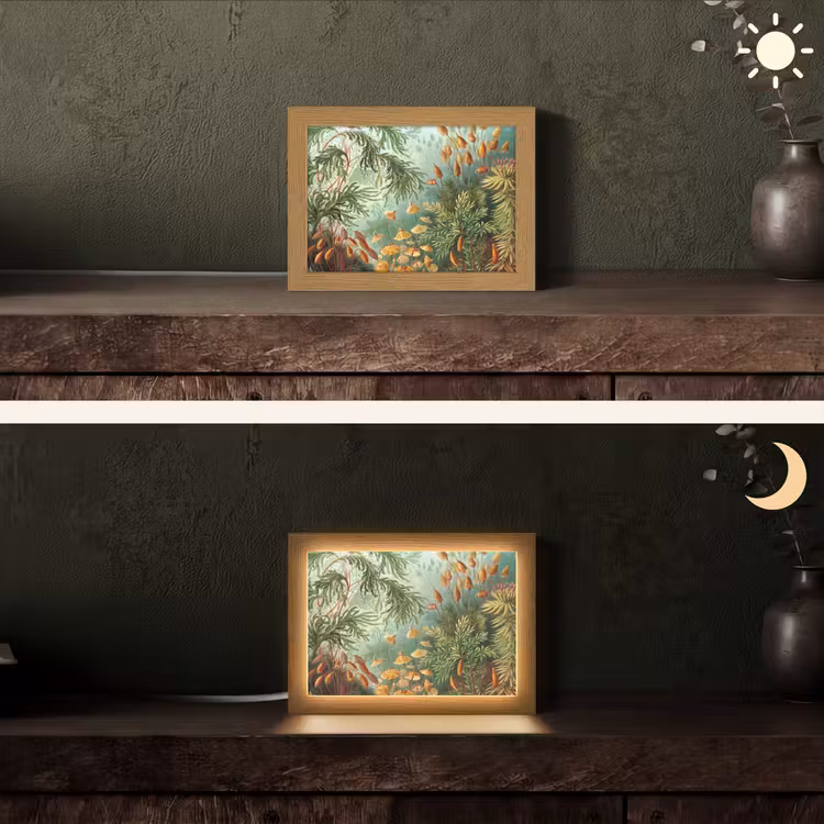 Oude meesters - Kunst - Muscinae - Haeckel Light Box met kabel (Tafellamp) klein -sfeer3
