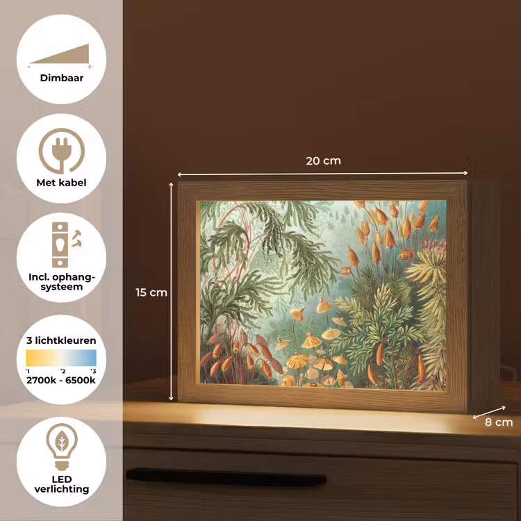 Oude meesters - Kunst - Muscinae - Haeckel Light Box met kabel (Tafellamp) klein -USP_NL