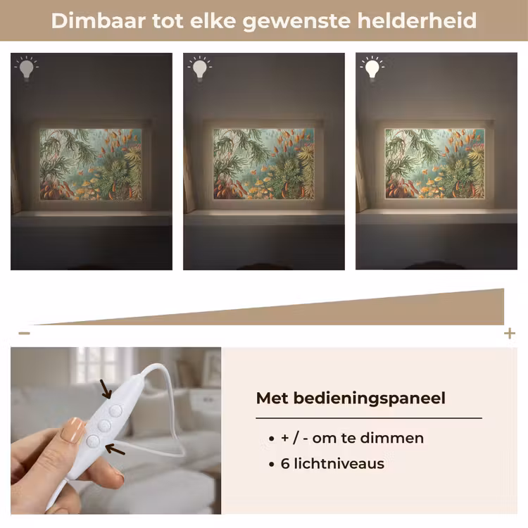 Oude meesters - Kunst - Muscinae - Haeckel Light Box met kabel (Tafellamp) klein -USP_dimbaarNL