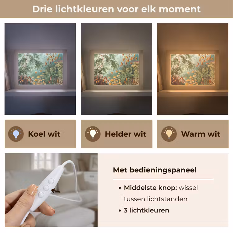 Oude meesters - Kunst - Muscinae - Haeckel Light Box met kabel (Tafellamp) klein -USP_lichtkleurNL