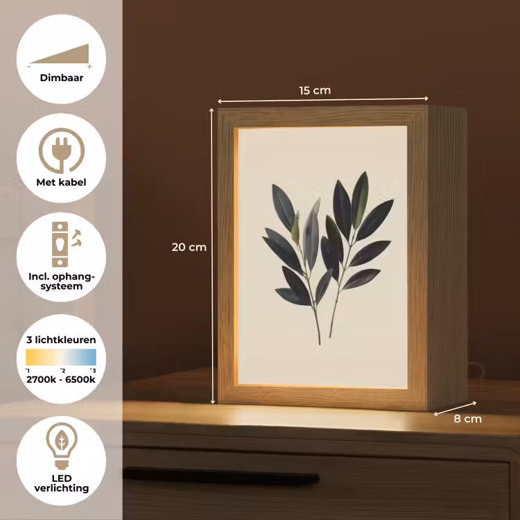 Ovaalvormige bladeren - Diep groen - Symmetrisch Light Box met kabel (Tafellamp) klein -USP_NL
