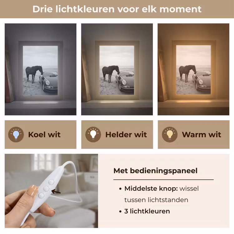 Paard - Auto - Zwart - Wit Light Box met kabel (Tafellamp) klein -USP_lichtkleurNL