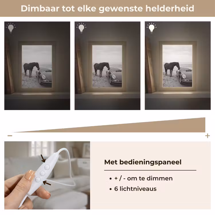 Paard - Auto - Zwart - Wit Light Box met kabel (Tafellamp) klein -USP_dimbaarNL
